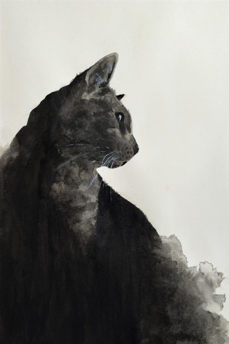 Emily Beasy 個展「I am a Cat」を開催します